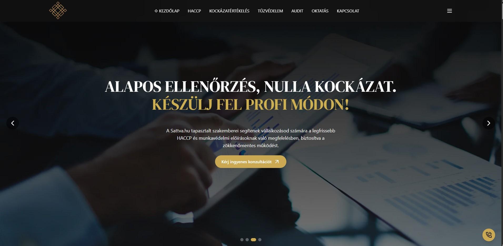 Sattva Business Website